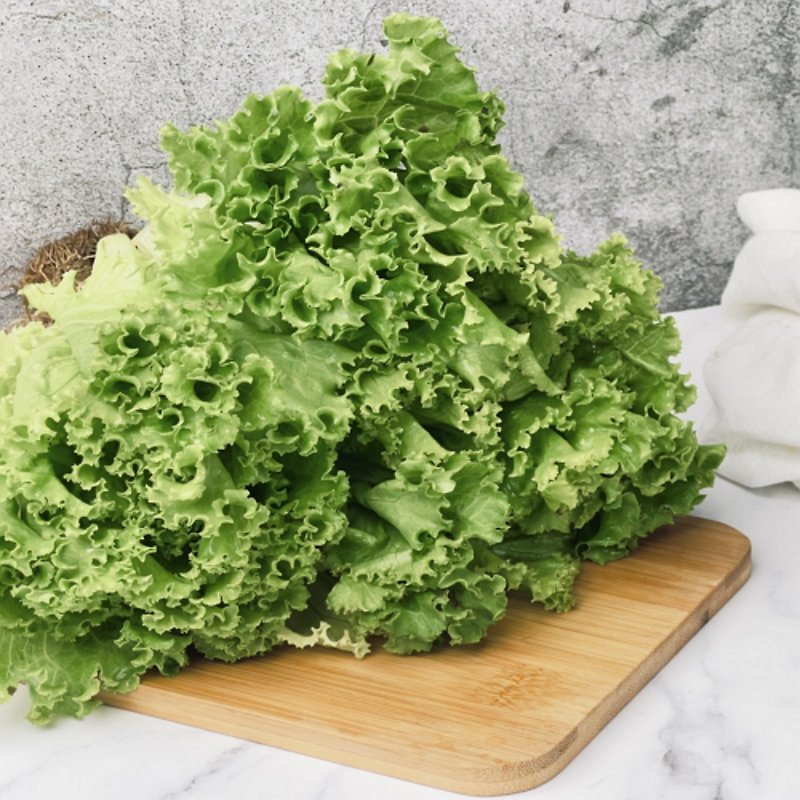 【Danyun hydroponic lettuce】green wrinkled leaves 150g, lettuce, salad, lettuce, hydroponic vegetables - อื่นๆ - อาหารสด 