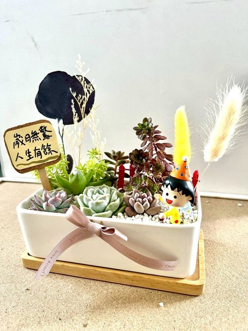さくらまる子ちゃん 和風多肉寄せ植え 多肉植物創作鉢植え