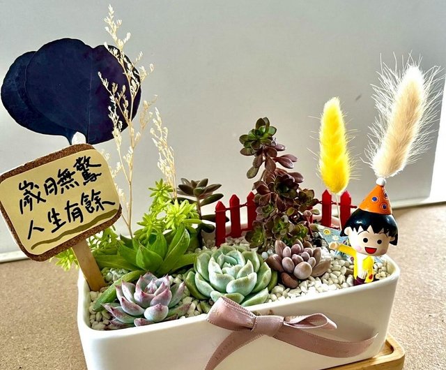 さくらこ様　多肉植物棚　NT- B4 さくらこ様 多肉植物棚 NT- B4 送料関税無料】 多肉植物棚