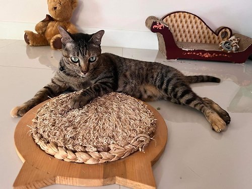 nornor Cat scratching post, cat scratching post, cat toys