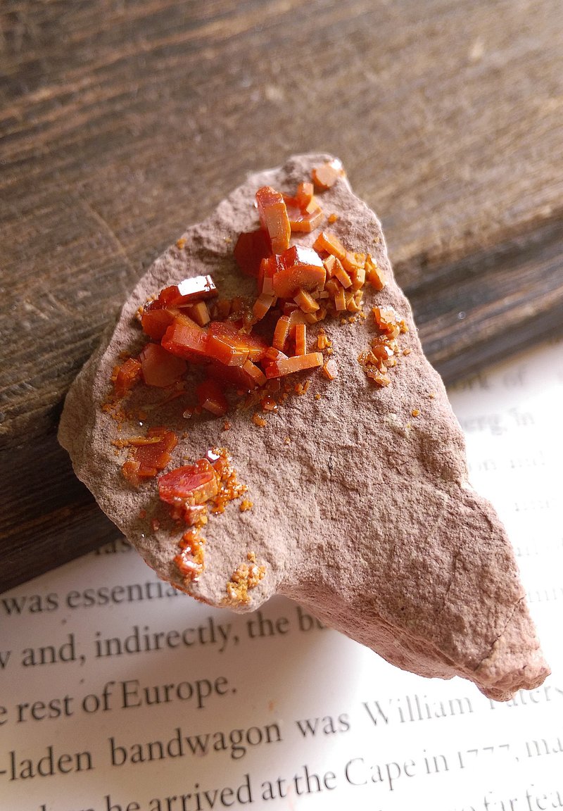 Vanadinite 摩洛哥產地 釩鉛礦 重晶石共生 天然礦石 原礦 - 擺飾/家飾品 - 其他材質 