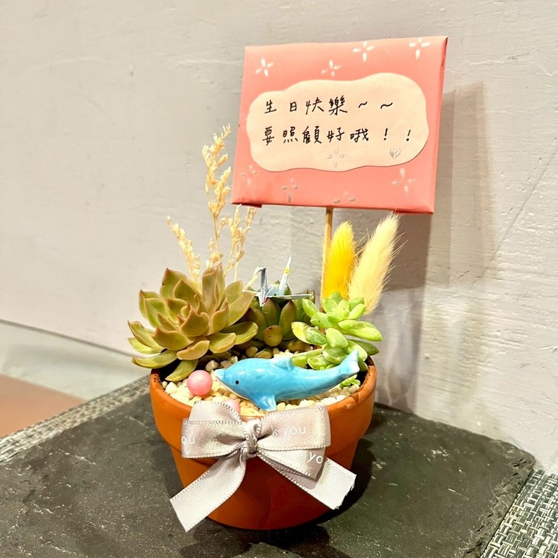 台中多肉組盆 多肉植物 日式枯山水 放鬆 海豚 療癒盆栽 海洋禮物 - 盆栽/植栽 - 植物．花 綠色