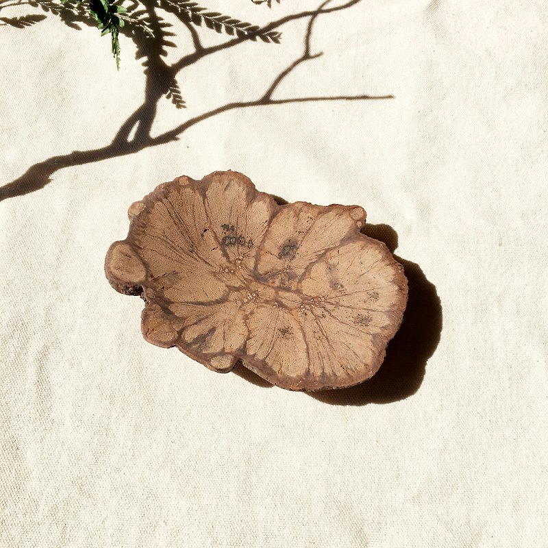 菊の盛り合わせ - 小皿 - 木製 