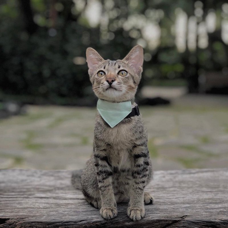 Crocodile Green Bandana Breakaway Kitten Collar | Kitten Safety Cat Collar - ปลอกคอ - ผ้าฝ้าย/ผ้าลินิน สีเขียว