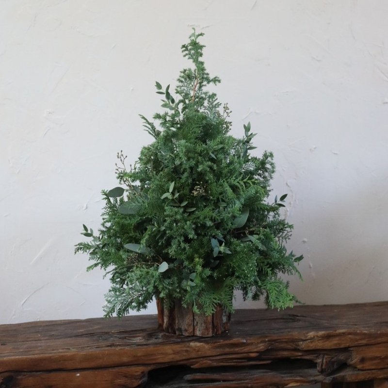 Pure Christmas tree 30cm high - flowers can be dried - ของวางตกแต่ง - พืช/ดอกไม้ สีเขียว