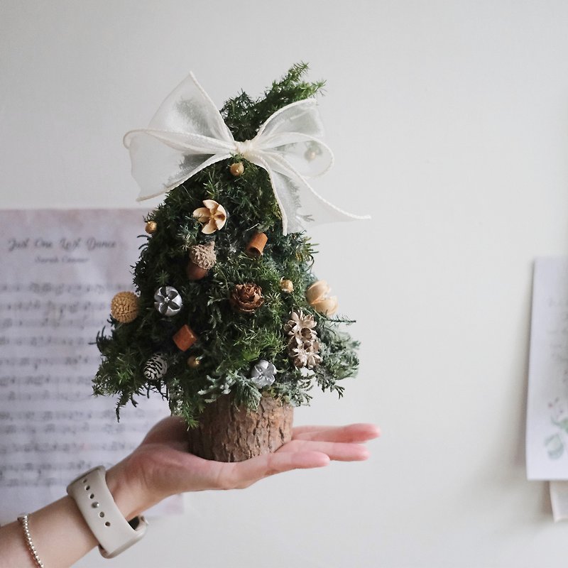 [Christmas limited edition] Perpetual cedar Christmas tree 30*30 / 50*50cm [Gift exchange] Preserved flowers - จัดดอกไม้/ต้นไม้ - พืช/ดอกไม้ 