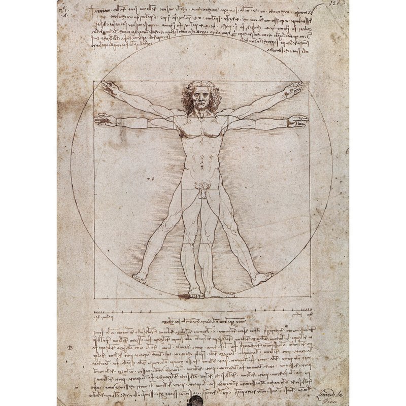 Italian IFI Poster Vitruvian Man - Wall Décor - Paper Multicolor