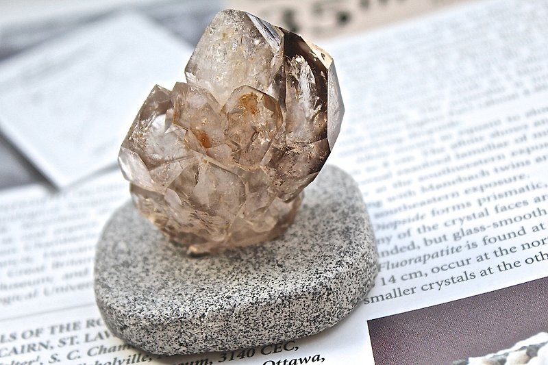 Stone planted SHIZAI ▲ backbone crystal / tea crystal backbone (including the base) ▲ - ของวางตกแต่ง - เครื่องเพชรพลอย สีนำ้ตาล