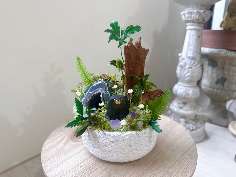 永生 水晶洞 綠植栽。萬物甦醒_嶄新。永生室內觀賞植物 - 盆栽/植栽 - 水晶 綠色