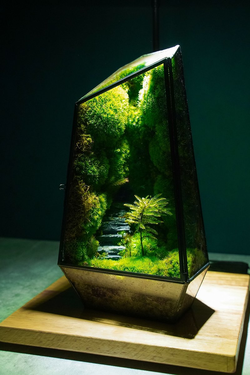 石階苔蘚之林 生態瓶 植物 盆景 玻璃微景觀 - 植栽/盆栽 - 植物．花 綠色