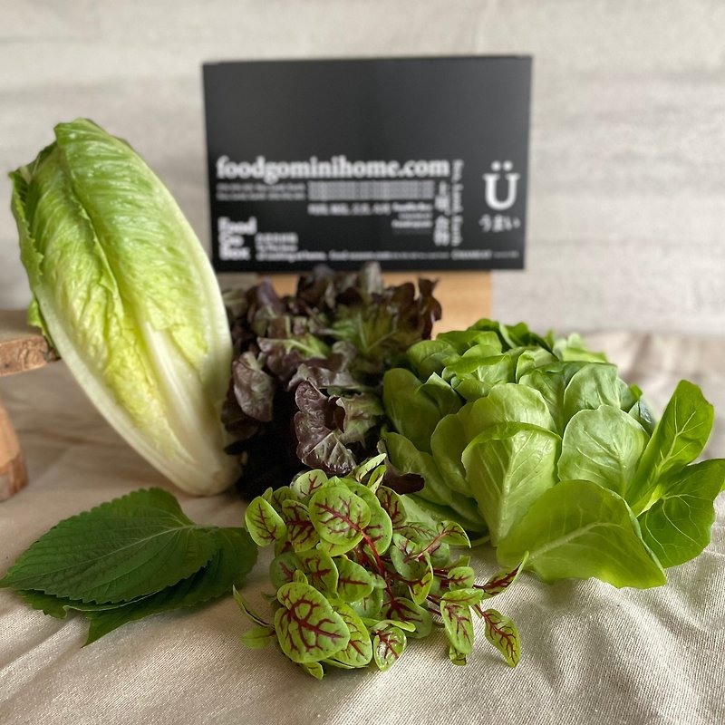 [Valentine's Day with Vegetable Box] BBQ + Lettuce Wrapped with Meat - Cuisine - Fresh Ingredients 