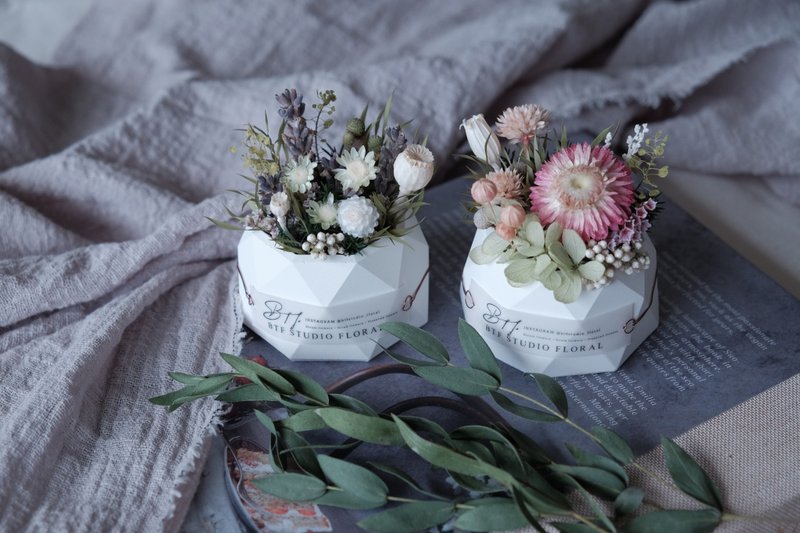 Potted Plants - Classic Potted Flowers, Seasonal Potted Flowers, Christmas Gifts (With Handwritten English Blessing Cards) - ช่อดอกไม้แห้ง - พืช/ดอกไม้ สีเขียว