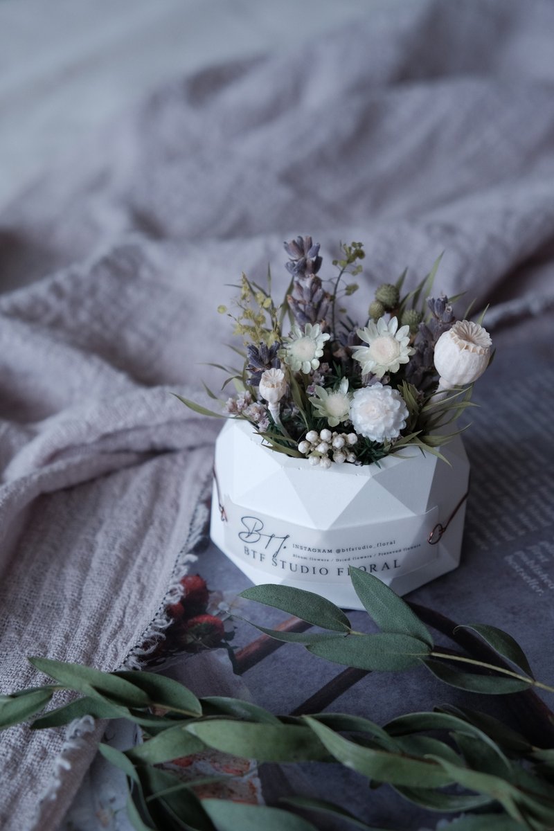 Plant potted flowers - classic potted flowers, forest style potted flowers, gift potted flowers (with handwritten English blessing card) - Dried Flowers & Bouquets - Plants & Flowers Green