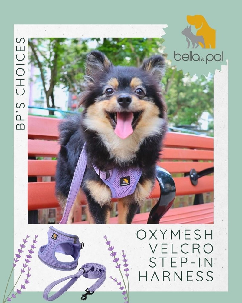 OxyMesh Breathable Dog Harness - Introductory Offer: Free Shipping Storewide - Collars & Leashes - Cotton & Hemp 