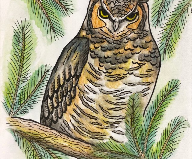 フクロウ(カップル)色鉛筆画