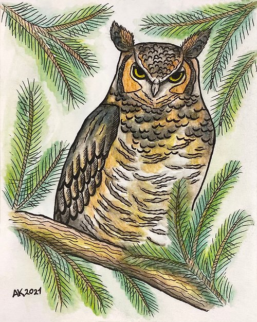 Anastasia Art - 独特的工艺 Owl watercolour painting, bird on pine tree, nature forest artwork, decorative
