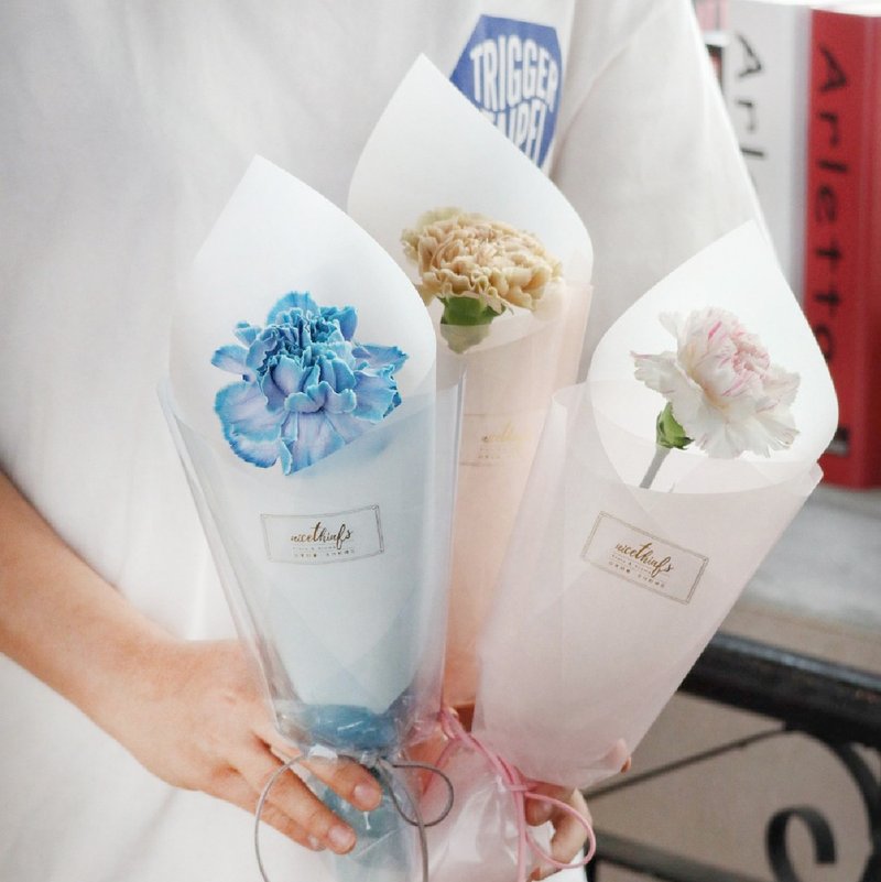 【限到店自取 】馬卡龍系單支康乃馨鮮花| 母親節花束 送禮首選 - 乾燥花/永生花 - 植物．花 