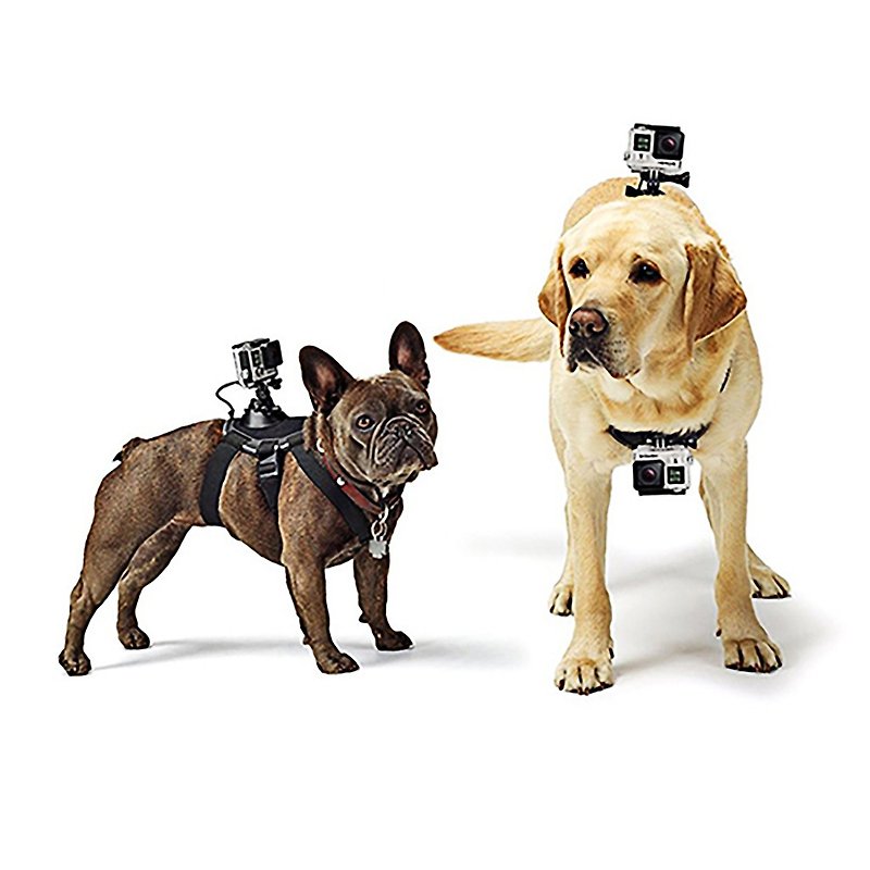 Keystone Pet POV Shooting Strap for GoPro - ปลอกคอ - วัสดุอื่นๆ สีดำ