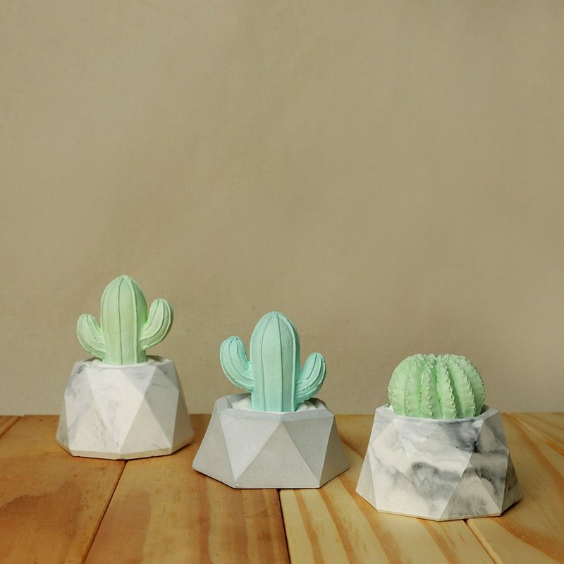 MIHER large cactus potted diffuser Stone - น้ำหอม - วัสดุอื่นๆ 