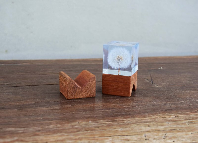 Dreamworld dandelion ice brick small wooden frame (deep) - Items for Display - Cork & Pine Wood White