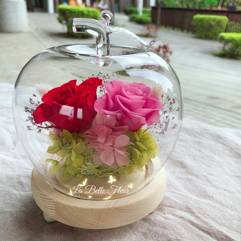 Apple Preserved Flower Night Light Glass Cup/Birthday Gift/Wedding Gift - ช่อดอกไม้แห้ง - พืช/ดอกไม้ 