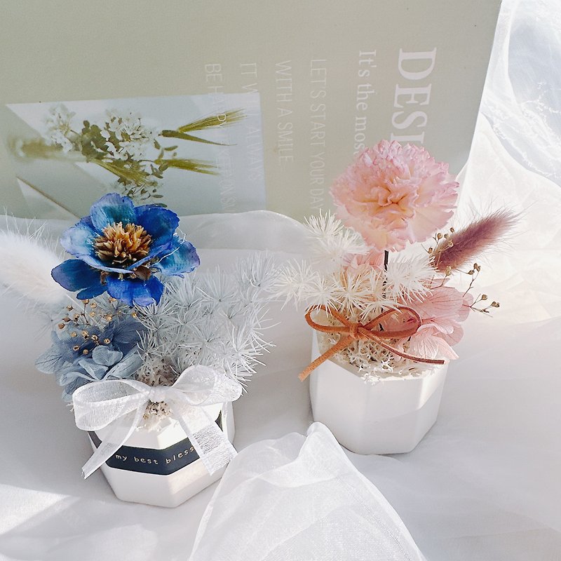 Diffuse table flower main flower Sola flower fragrance decoration eternal table flower office healing small things Mother's Day - Fragrances - Plants & Flowers Pink