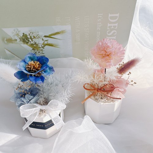咖朵花藝 Caldo Floral 擴香桌花 主花索拉花款 香氛擺飾 永生桌花 辦公療癒小物 母親節