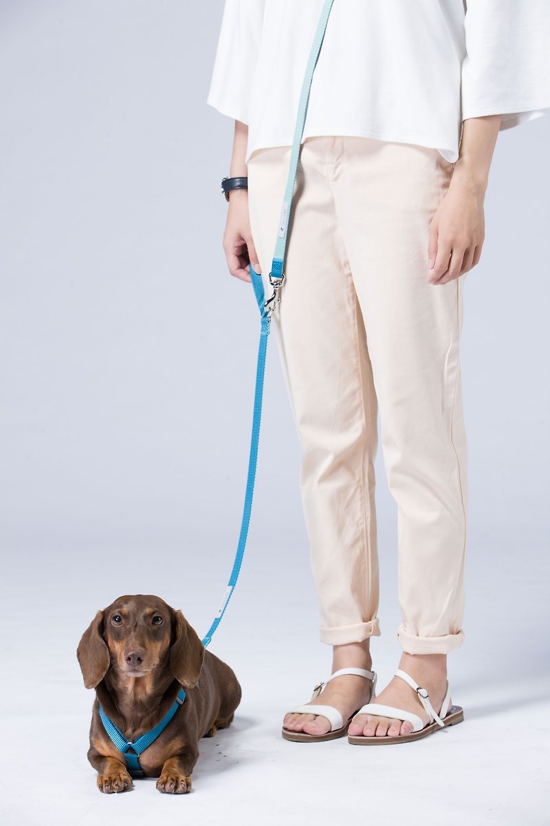 [Tail and me] Multifunctional two-color standard leash mint water blue - ปลอกคอ - ไนลอน หลากหลายสี