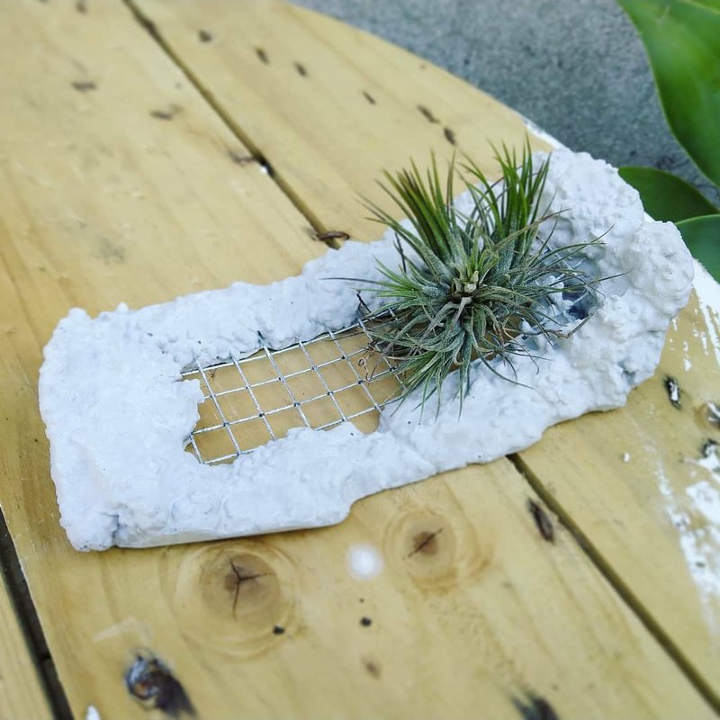 garden_pulp 【Only one系列】#5廢墟空鳳架 - 盆栽/植栽 - 水泥 灰色