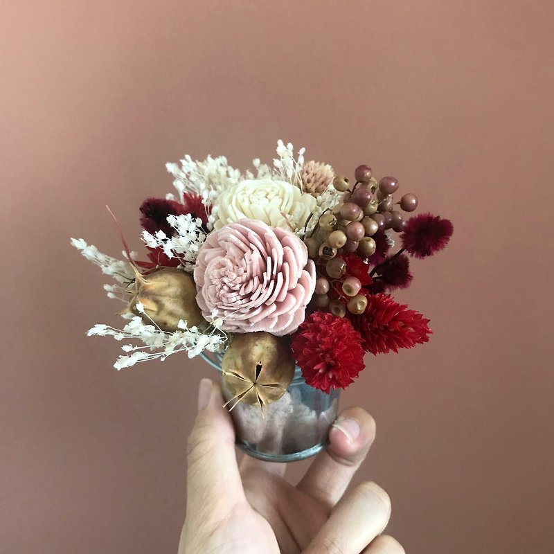 乾燥花 附小鐵罐 - 乾燥花/永生花 - 植物．花 紅色
