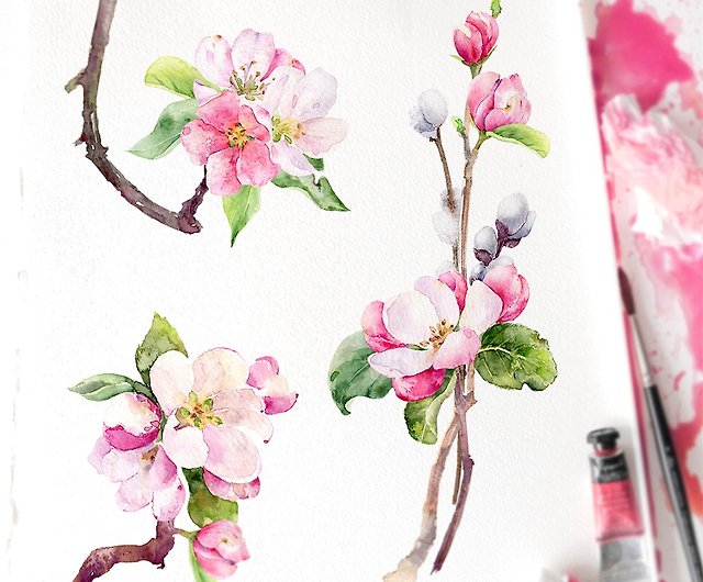 リンゴの花の水彩画のクリップアート 春の花のイラスト 昇華 ショップ Elitawatercolorarts イラスト 絵画 カリグラフィー Pinkoi