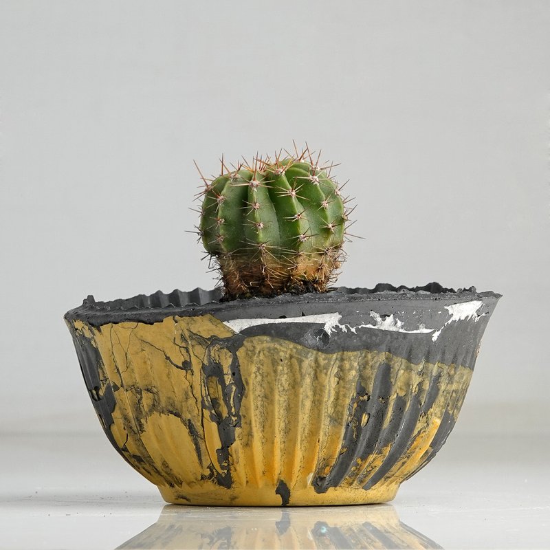 Cement basin - เซรามิก - ปูน 