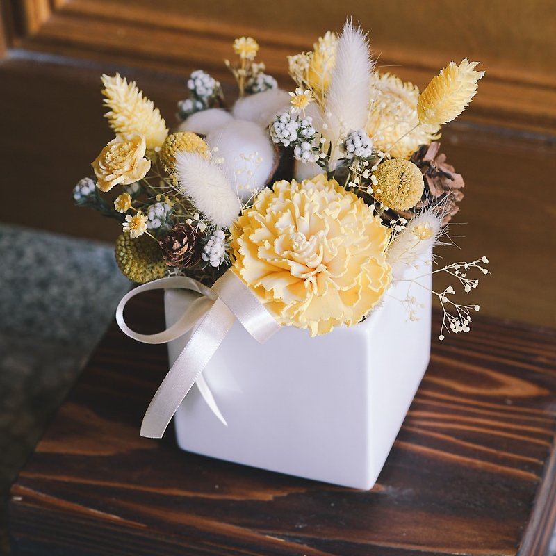 [Dry Potted Flowers Honey Lemon] The first choice for gift giving to celebrate the opening of a new home - Dried Flowers & Bouquets - Plants & Flowers Yellow