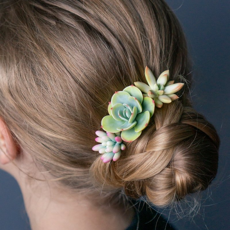 Hairpin set with Echeveria Peach Pride - 髮夾/髮圈 - 其他材質 綠色