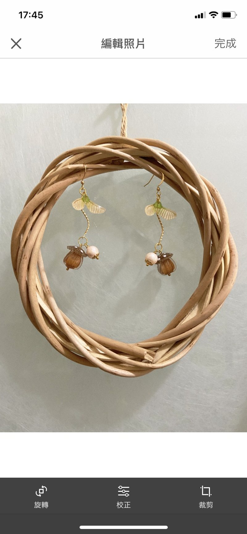 Autumn acorns-earrings - ต่างหู - เรซิน สีนำ้ตาล