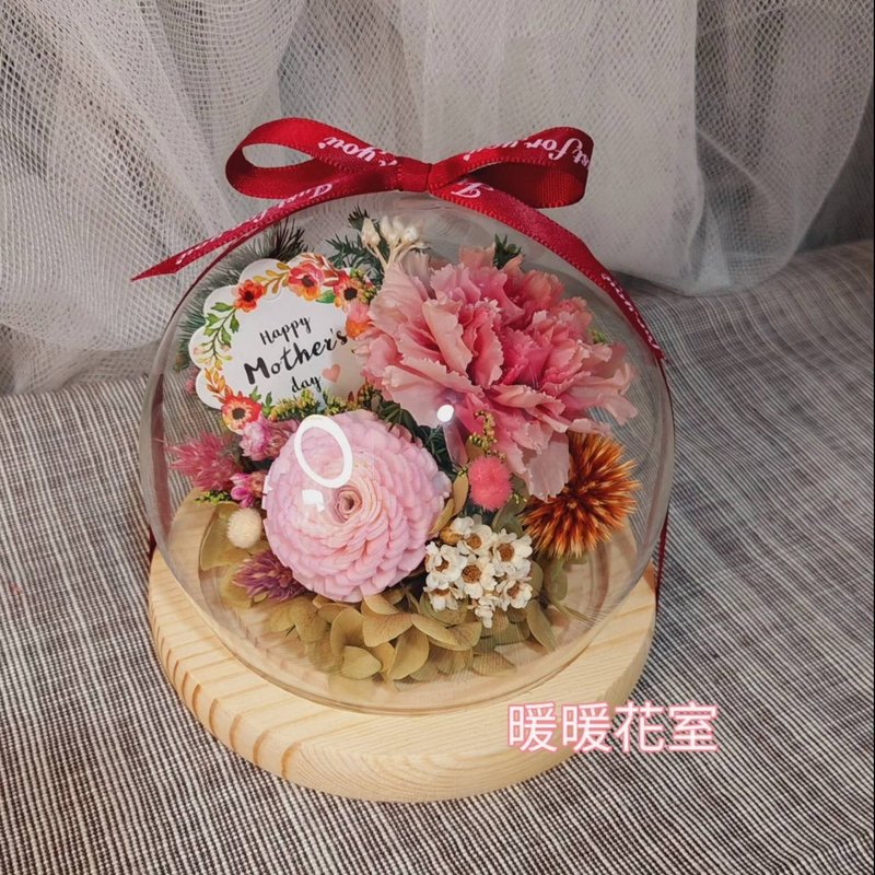 永生康乃馨玻璃花忠 - 乾燥花/永生花 - 植物．花 紅色