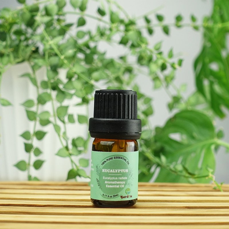 100% Pure Natural Aromatherapy Essential Oil 5ml - Eucalyptus - Fragrances - Other Materials 