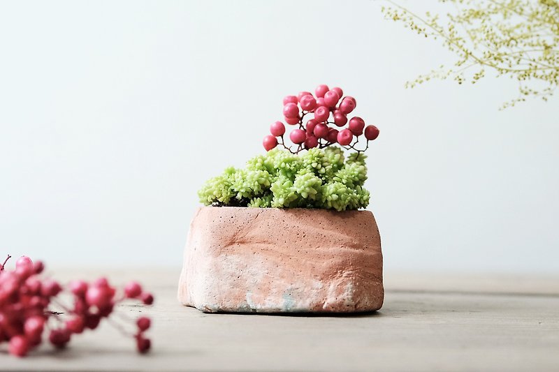 Christmas hill Christmas hill - meat dried flower cement DIY material package Potted pepper fruit years grass - ตกแต่งต้นไม้ - ปูน สีแดง