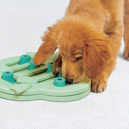 Outward Hound 【瑞典益智玩具】冒險狗-通關尋寶 (3色) LV2 寵物玩具