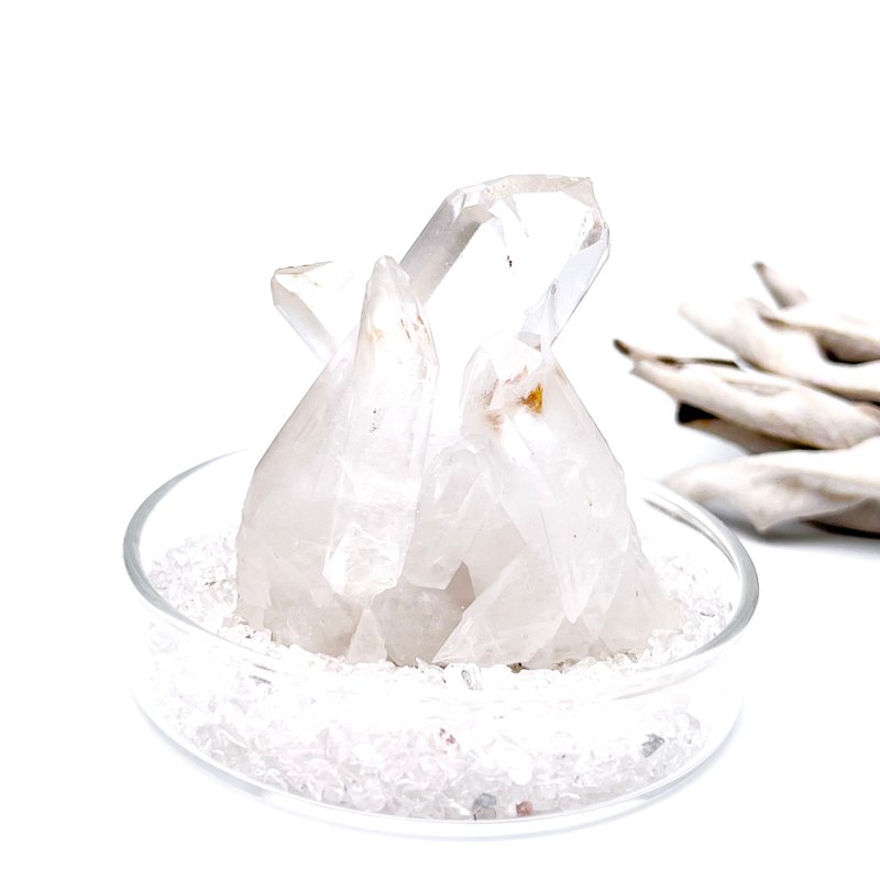 澈嶼。原礦 擺件 療癒 水晶盆栽 組合 淨化 I 白水晶 白晶簇 I - 擺飾/家飾品 - 水晶 白色