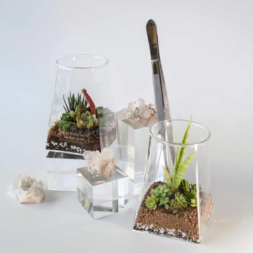原生態 natureworld 【沙漠生態植物瓶】diy材料包+影片教學