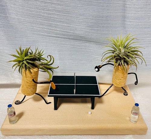 VitaDesign多肉植栽設計 創意空鳳架 PLAY桌球 辦公桌 桌上展示架