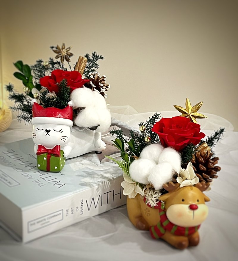 Christmas Cat Mini Pot Flower - DIY Kit - จัดดอกไม้/ต้นไม้ - พืช/ดอกไม้ 