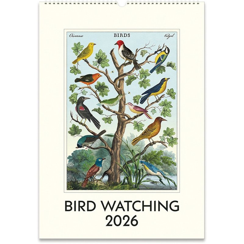 (預購) Cavallini & Co.  2026 年曆/掛曆_BIRD WATCHING - 日曆/月曆/年曆 - 紙 多色