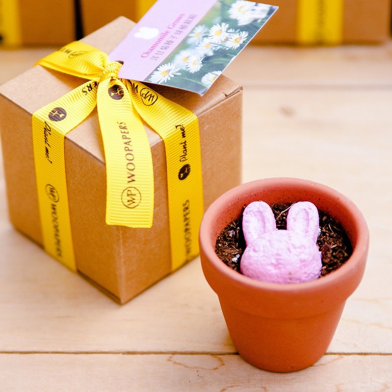 Animal Grows Rabbit Shape Seed Ball Gift Set - ตกแต่งต้นไม้ - พืช/ดอกไม้ สีเขียว