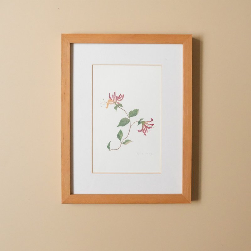 Botanical illustration-Honeysuckle/hanging picture/solid wood table frame - โปสเตอร์ - กระดาษ 