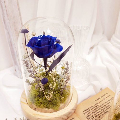 莫緹花繪 小王子夜燈 藍色永生花鐘 玻璃鐘罩 永生花 乾燥花 永生花夜燈