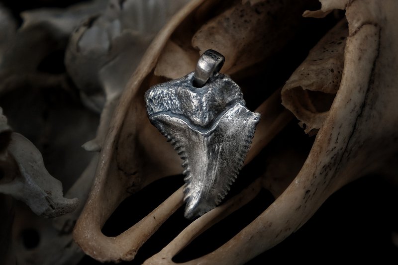 [Mountain Skeleton Period] Sterling Silver Shark Tooth Necklace - สร้อยคอ - เงิน สีเงิน