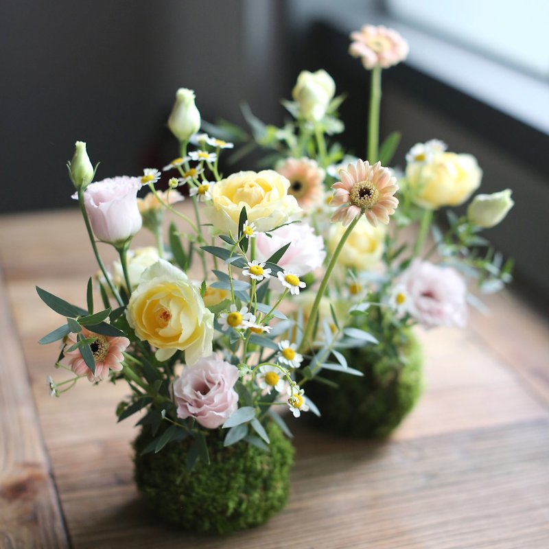 Xiaodao│Moss Ball Flower Arrangement (2 Balls) - Take Time Store Tablet DIY Course - Plants & Floral Arrangement - Plants & Flowers 