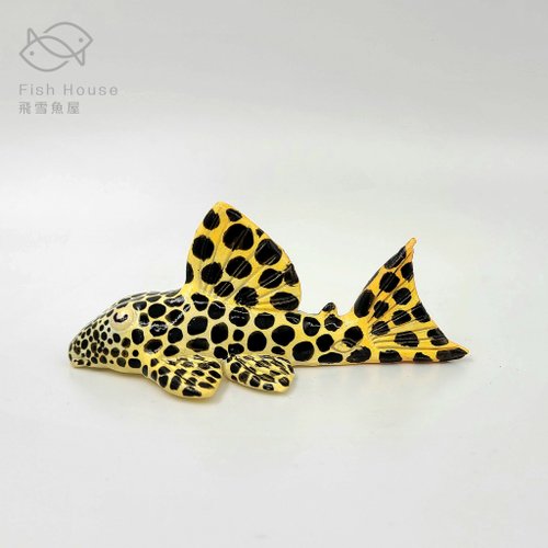 飛雪魚屋文創FishHouseTaiwan 黃金美洲豹模型(訂做)